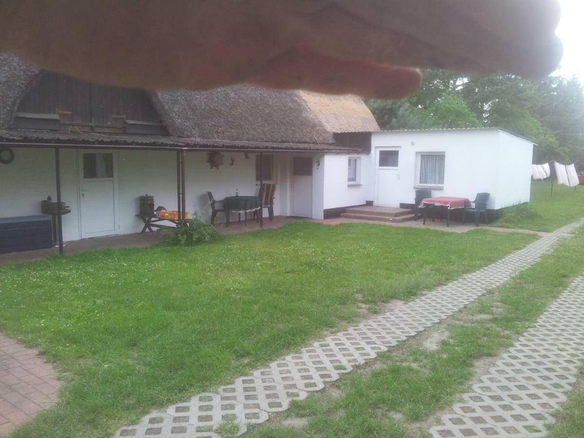 FeWo1 Born Exterior foto